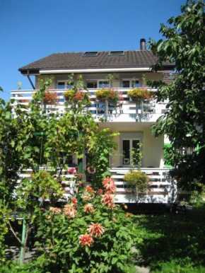 Lüchinger Arbon